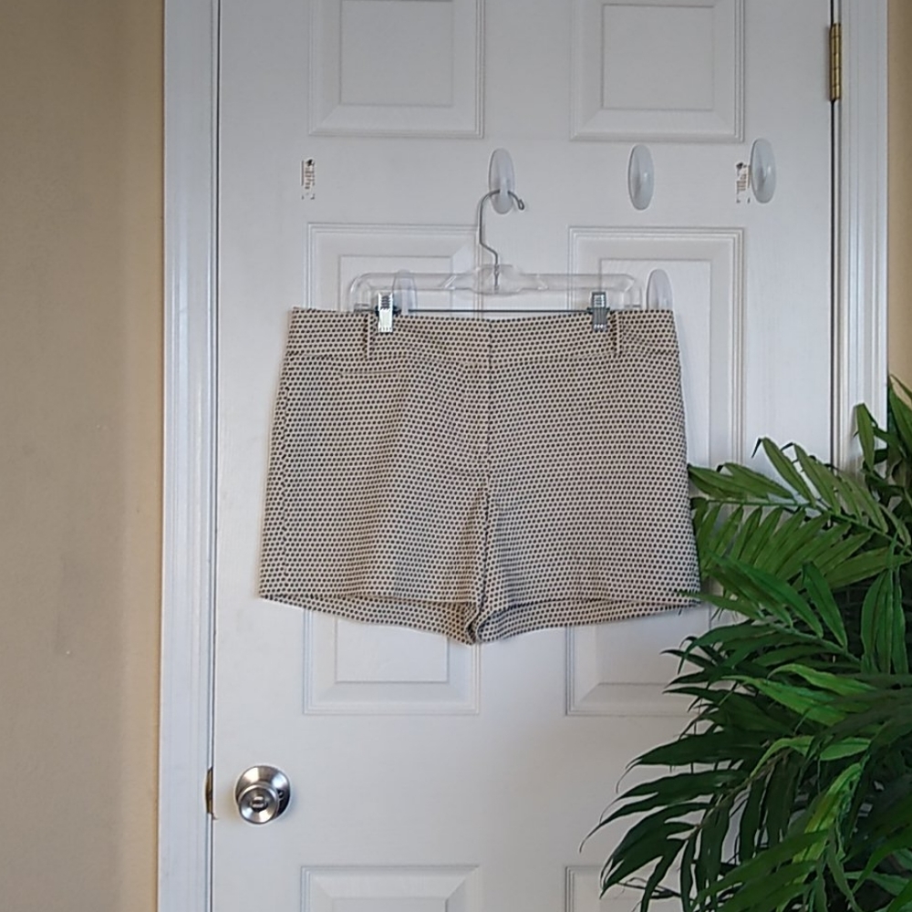 ✨💯✨Ann Taylor LOFT Polka Dotted Shorts